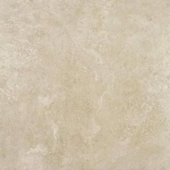 Beige Natural 59.55x59.55