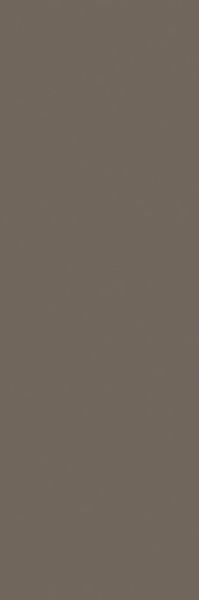 Плитка Eclettica Taupe 40x120