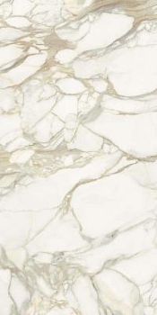 Marmi Calacatta Oro Polished 150x300