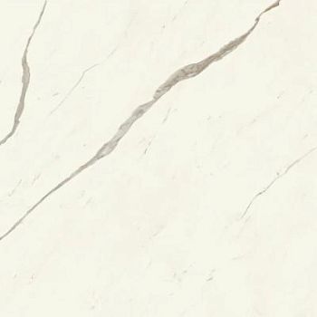 Calacatta Sublime Silk 120x120