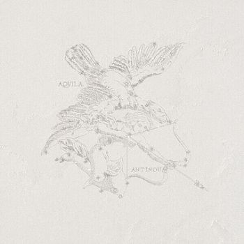 decoro aquila arenal decoro aquila arenal