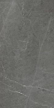 Dark Grey 60x120