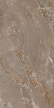 Taupe 60x120