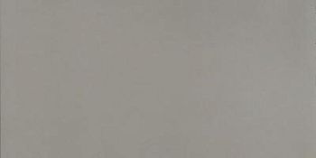 Neutral Grigio 60x120