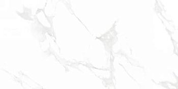 Venus Bianco Polished 60x120