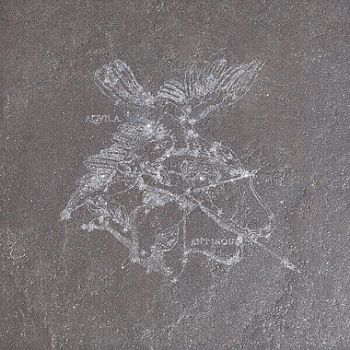 decoro aquila nebula