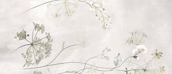 Botanical White Faccia B Rettificato 120x278
