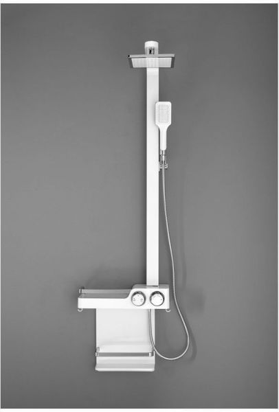 Душевая стойка Aquanet SF1706LW