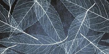 Blue Rect Set 2 Pcs 60x60