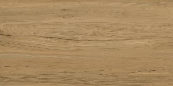 Alleya Brown 60x120