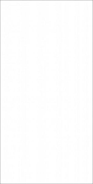 Керамогранит Радуга белый обрезной 60х119,5