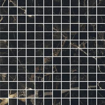 Nero Atlante Composizione F Lucidato 30x30