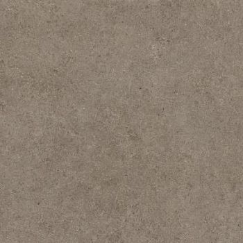 Taupe 120x120