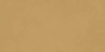 Decora Senape 60x120