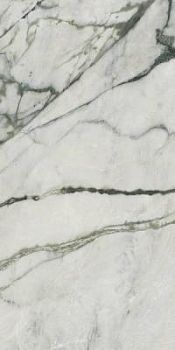 Calacatta Emerald Lev 120x278