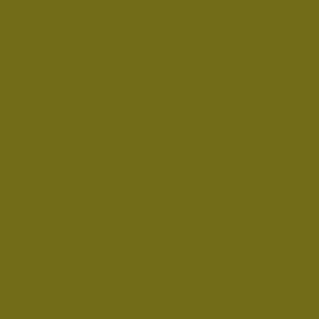 15 Khaki 11.55x11.55