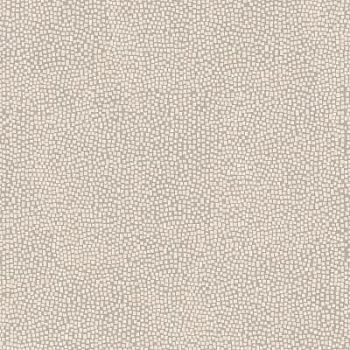 Seminato Di Tessere Marfil Ordonez Full Lappato 120x120