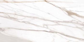 Calacatta Gold Canova Naturale 60x120