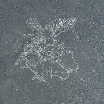 decoro aquila fuligo