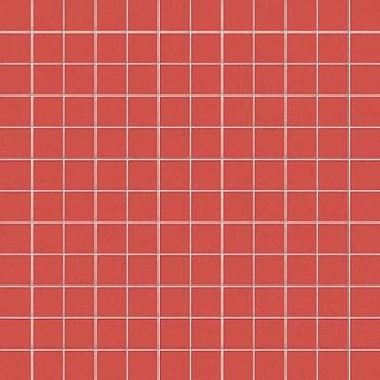 Corallo Su Rete 2.5x2.5 30x30