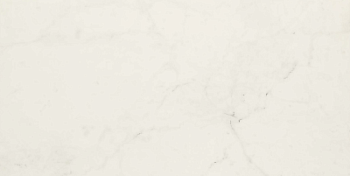 Керамогранит Allmarble Altissimo Rett. 60х120