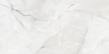 Onyx Moon Polished 60x120