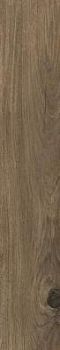 Oleum Rt 20x120