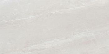 ZS612NTT9702P 60x120