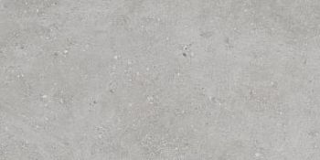 Grey Matt 59.5x120