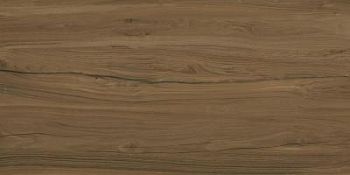 Alleya Dark Brown 60x120