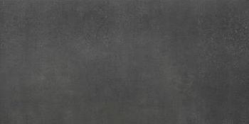 Gres Anthracite 79.7x159.7