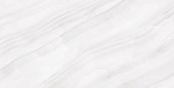 Stelia Light Grey Polished 60x120