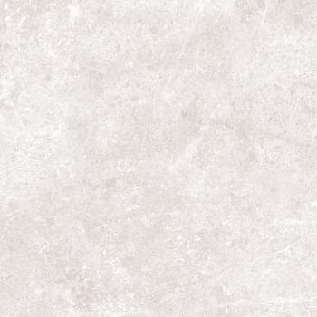 Light Grey Polished 59.2x59.2