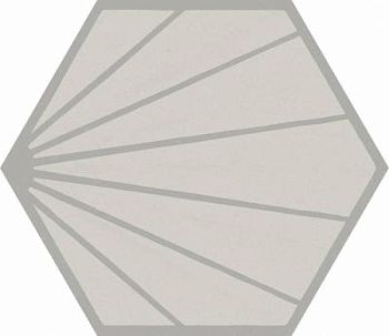 P3 Esa 21.6x25