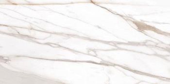 Calacatta Gold Canova Lappato 59x118.2