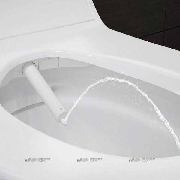 Унитаз подвесной Geberit AquaClean Tuma Comfort 146.294.FW.1 панель нерж. сталь Унитаз подвесной Geberit AquaClean Tuma Comfort 146.294.FW.1 панель нерж. сталь