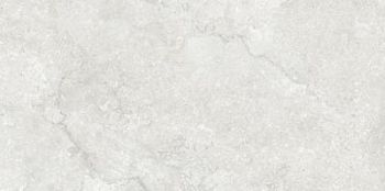 Antique Stone Silver Matt 60x120