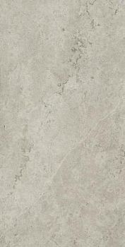 Absolut Silver 60x120 Absolut Silver 60x120
