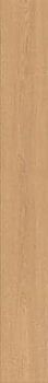 Pale Oak Elegant 18.5x150