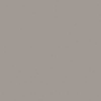 Керамогранит RW 03 80x80