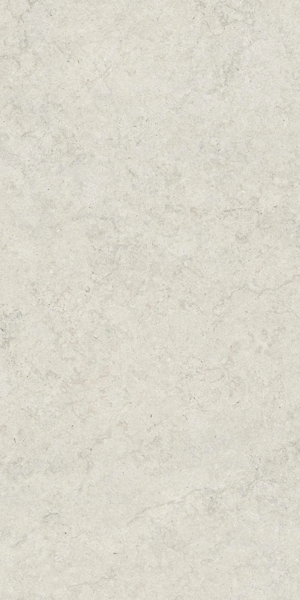 Керамогранит Coliseum Gres Саленто Уайт 60x120