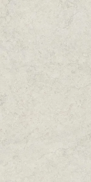 Керамогранит Coliseum Gres Саленто Уайт 60x120