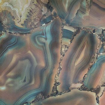 Ambra Fiorito Lapp.Rett.