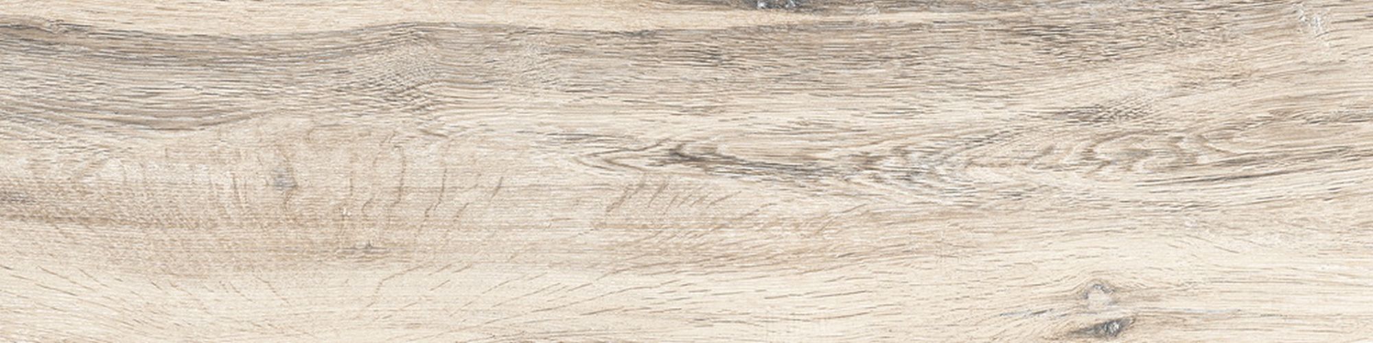 Керамогранит BG 00 14.6x60