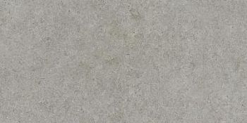 Grey 20 Mm 60x120