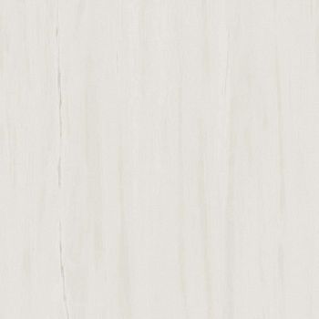 Керамогранит Marvel Stone Bianco Dolomite Lappato 120x120