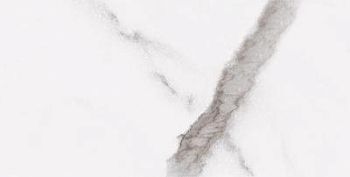 White Statuario Nat 11.5x23