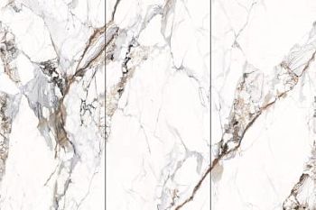 Breccia Capria 120x240