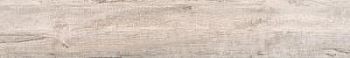 SP 01 19.4x120