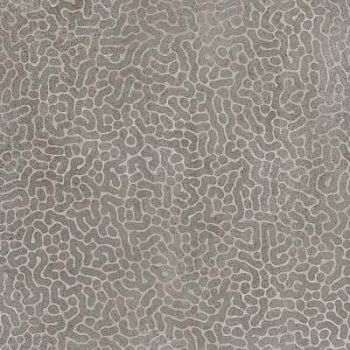 Zoom Reef Glow 60x60